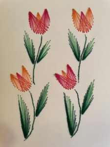 10a Tulpen