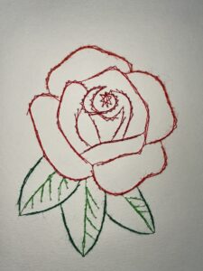 12 Rose