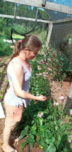 Adriana Bonnemann en su emprendimiento de plantas medicinales