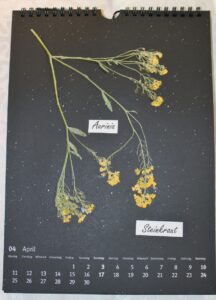 Kalenderblatt April