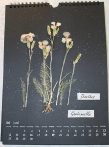 Kalenderblatt Juni