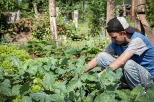 Manuel Warken trabajando en su emprendimiento horticultura